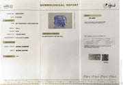 4.95/CT Natural Blue Sapphire with Govt Lab Certificate-16625S208567